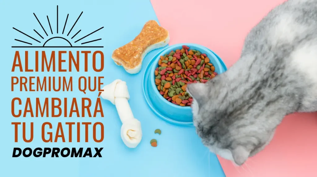 Alimento Premium que Cambiará tu Gatito