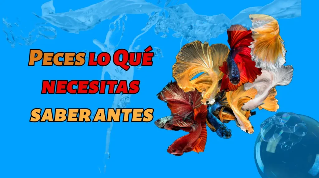 Peces lo Qué necesitas saber antes
