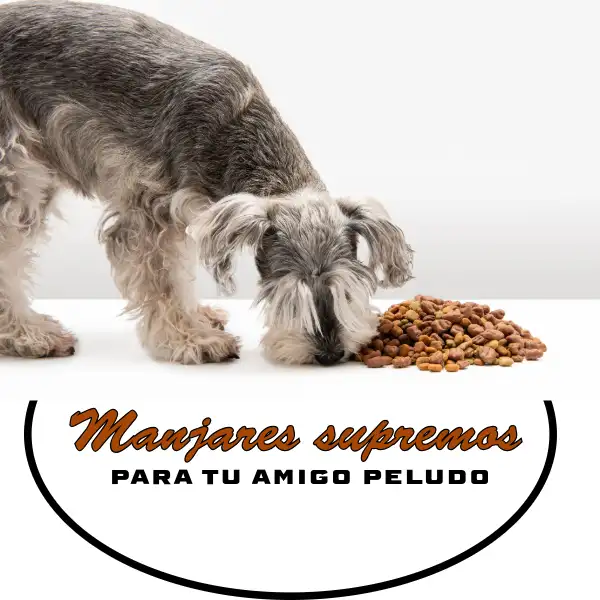 Los 4 manjares supremos para consentir a tu perro
