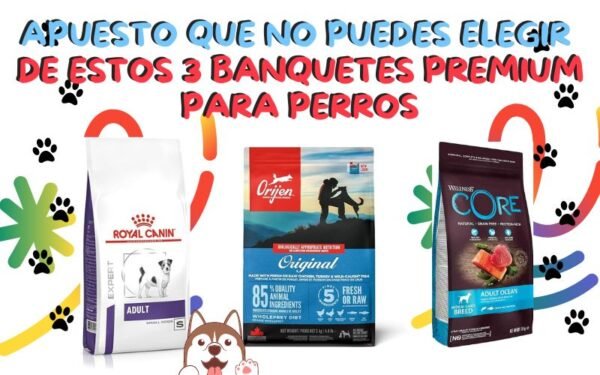alimentos para perros