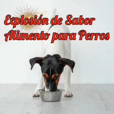 perro comienddo