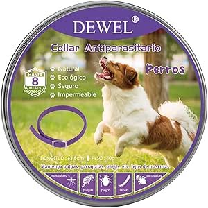 Dogpromax: El Blog y Tienda favorita de tu Mascota
