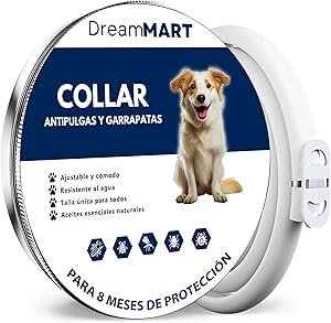 Dogpromax: El Blog y Tienda favorita de tu Mascota
