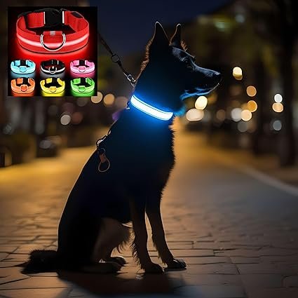 Dogpromax: El Blog y Tienda favorita de tu Mascota