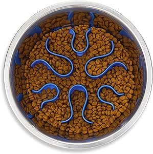 Dogpromax: El Blog y Tienda favorita de tu Mascota