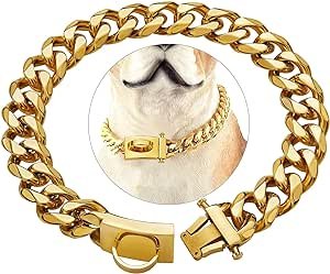 Dogpromax: El Blog y Tienda favorita de tu Mascota