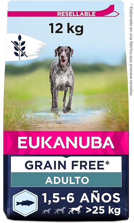 Dogpromax: El Blog y Tienda favorita de tu Mascota