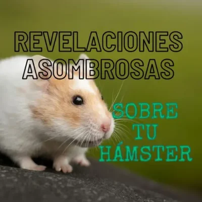 sobre tu Hámster