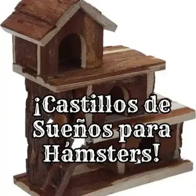 "¡Castillos de Sueños para Hámsters!"