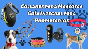 Collares para perros Guía Integral para Propietarios
