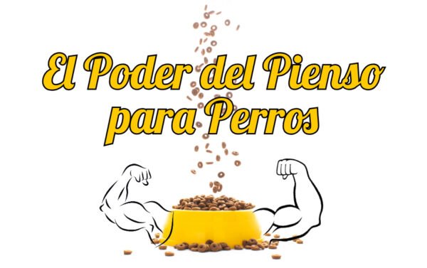 el poder del pienso