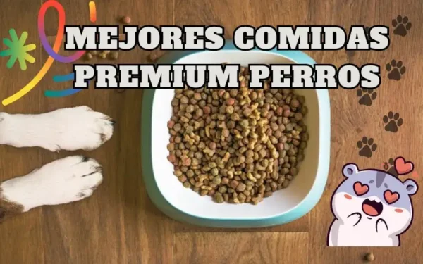 Mejores Comidas Premium Perros