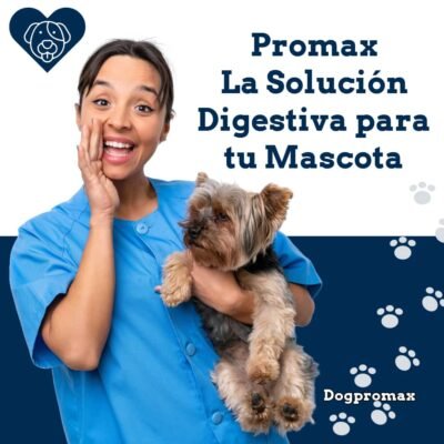 Promax - dog promax - perro promax