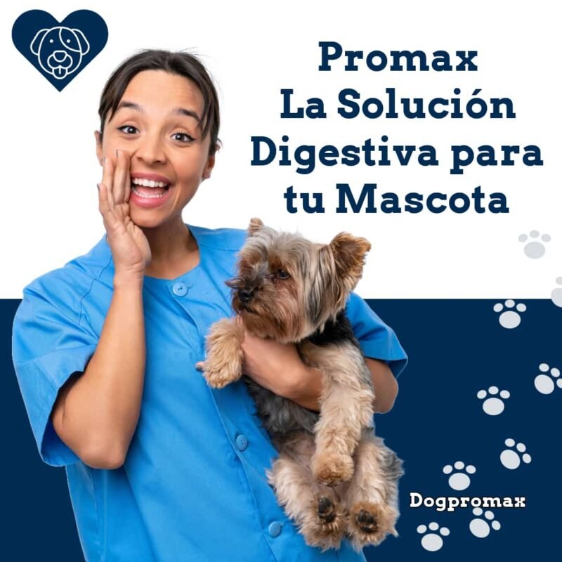Promax - dog promax - perro promax