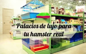 casas de hamster