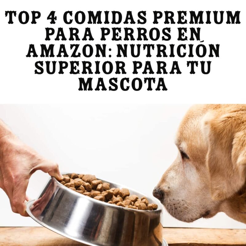 top 4 comida premium