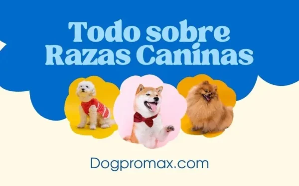 Todo sobre Razas Caninas