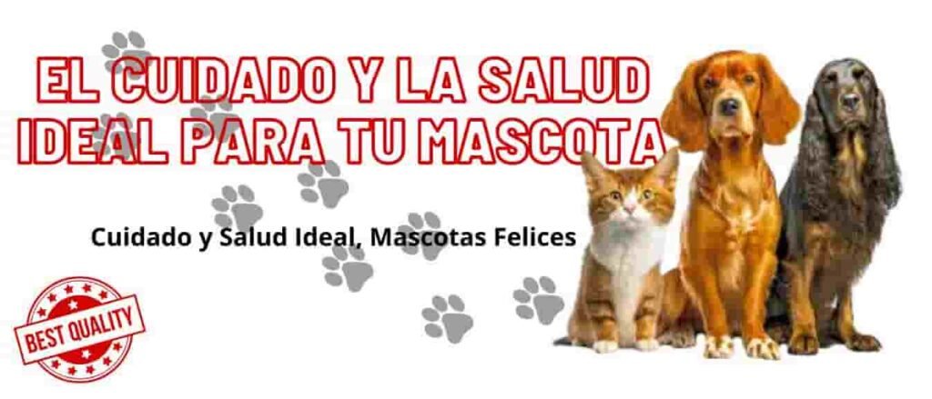 Cuidado y Salud 1 cuidados y salud para tu mascota