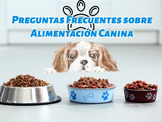 preguntas frecuentes sobre Alimentación canina
