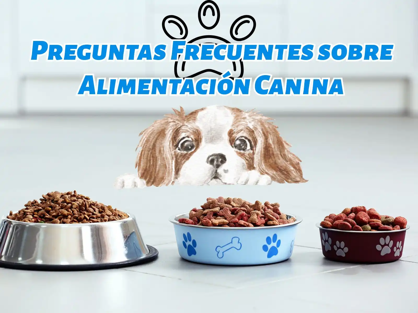 preguntas frecuentes sobre Alimentación canina