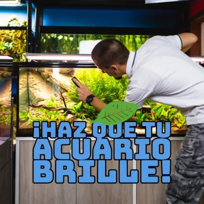 ¡Haz que Tu Acuario Brille!