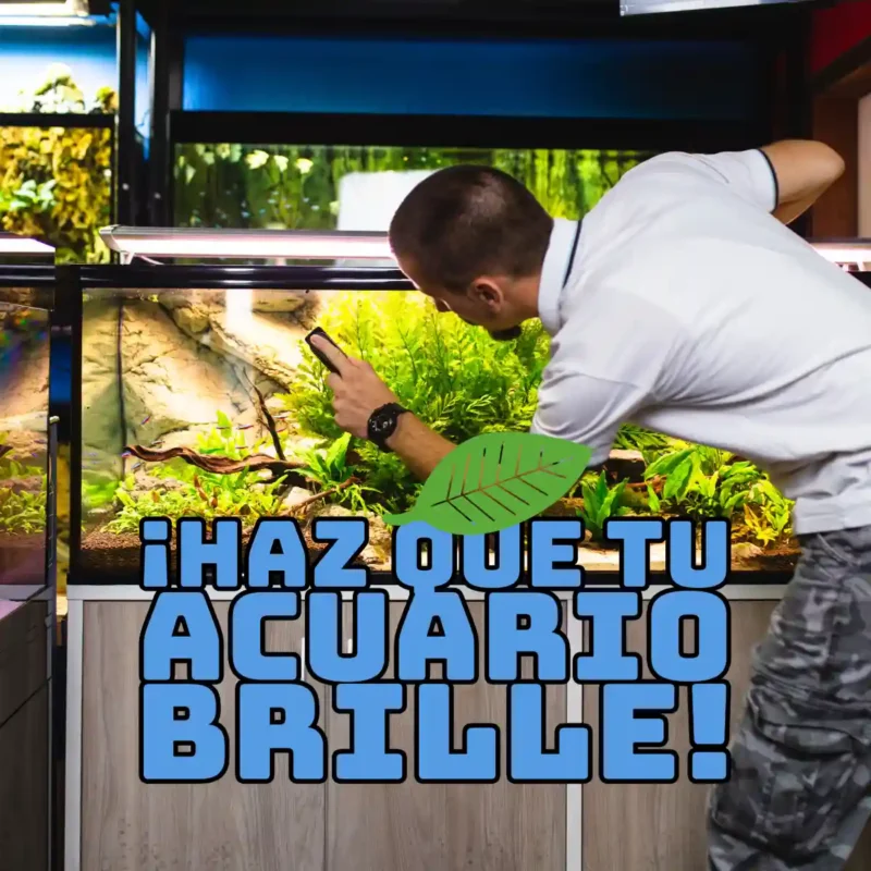 ¡Haz que Tu Acuario Brille!