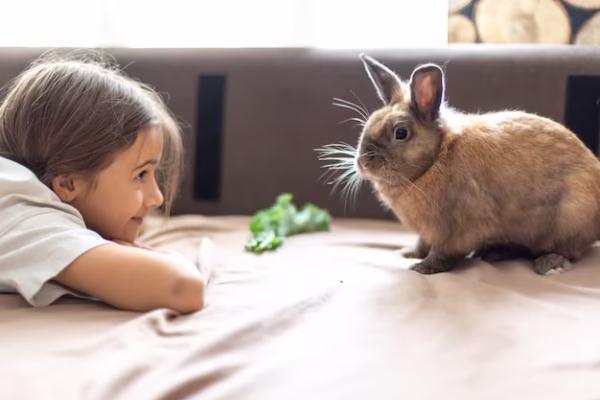 onejo feliz disfrutando de una jaula limpia y segura