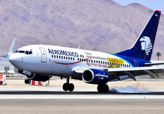 Viaja Con Tu Mascota Aeroméxico