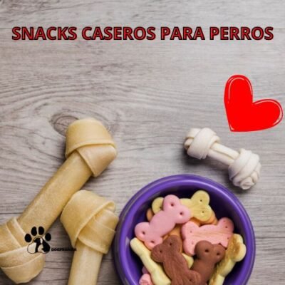 snacks caseros para perros