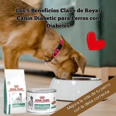 Royal Canin Diabetic