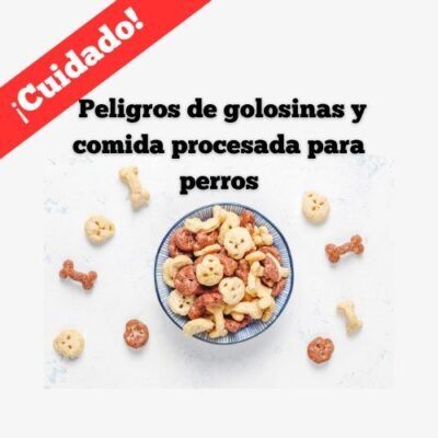 Peligros de golosinas y comida procesada para Perros