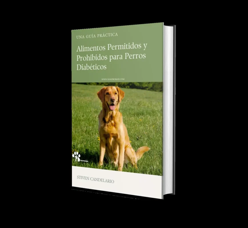 Dogpromax: El Blog y Tienda favorita de tu Mascota