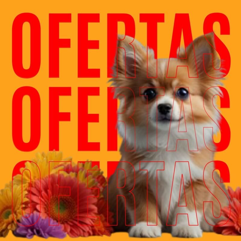 Ofertas 1 ofertas
