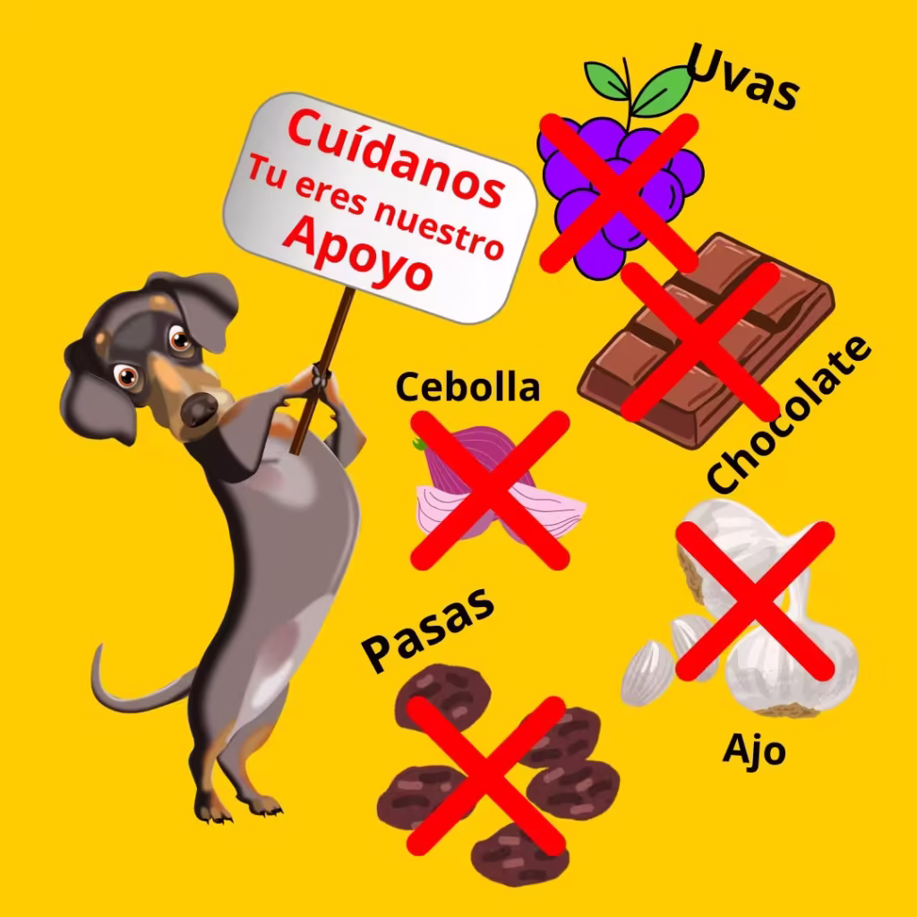Alimentos Recomendados y No Recomendados para Cachorros 2 Alimentos No Recomendados para Cachorros