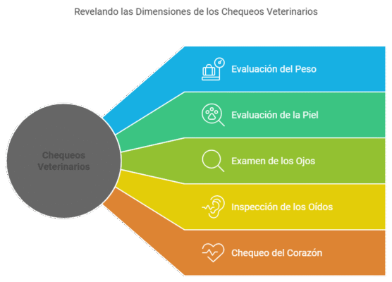 Importancia de los Chequeos Veterinarios