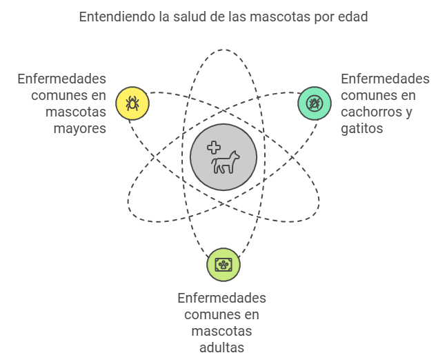 Enfermedades Comunes en Perros y Gatos Según Su Edad 2 Dogpromax: El Blog y Tienda favorita de tu Mascota