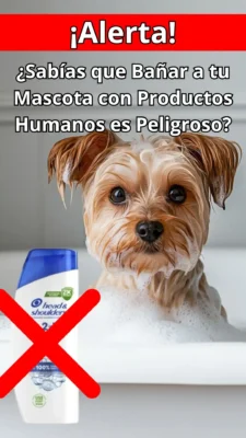 Dogpromax: El Blog y Tienda favorita de tu Mascota