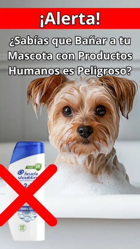 Dogpromax: El Blog y Tienda favorita de tu Mascota