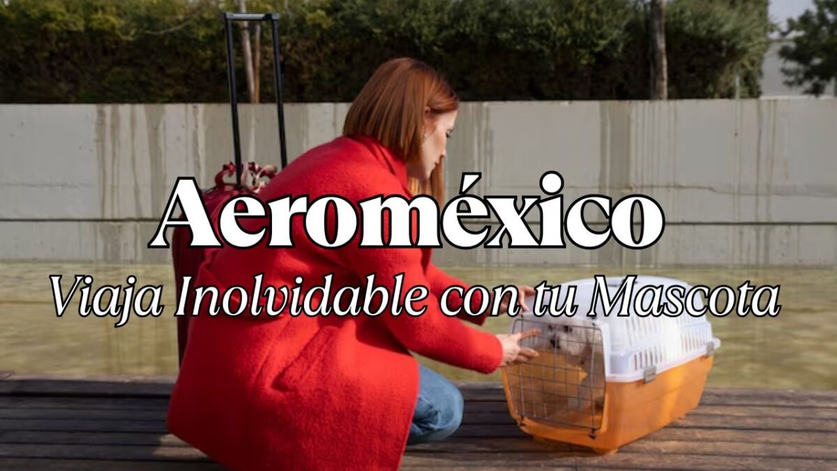 Aeroméxico Viaja Inolvidable con tu Mascota
