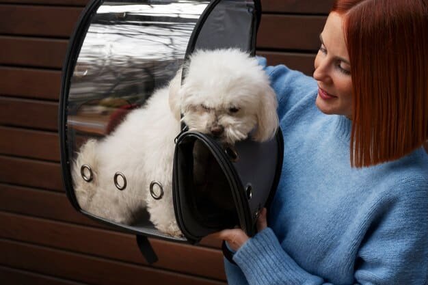 ✅ Aeroméxico y tu mascota: Guía para reservar vuelos sin estrés 🐾✈️ 1 Proceso para llevar un perro de apoyo emocional en Aeroméxico